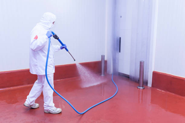 Best Restaurant Pressure Washing  in Limesa, CA